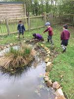 Pond habitats.jpg