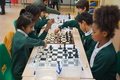 Chess (21).JPG