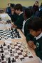 Chess (10).JPG