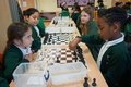 Chess (15).JPG