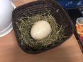 Year 1 egg 3.jpg