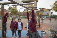 Large playground.jpg