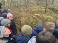 IMG_2566.JPG