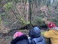 IMG_2585.JPG