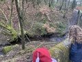 IMG_2586.JPG