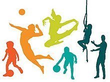 Picture of Physical Education