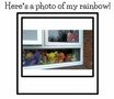 rainbow 6.jpg