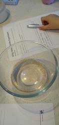 IMG_20200324_131510347.jpg