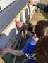 Max measuring skills.jpeg