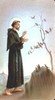 Year 1 St Francis of Assisi.jpg