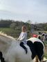Primrose horse.jpg