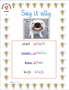 say it silly.PNG