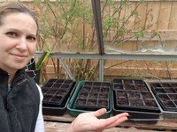 seeds Mrs P.jpg
