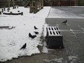 IMG_3278.JPG