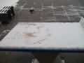 IMG_3279.JPG