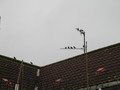 IMG_3288.JPG