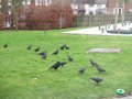 IMG_3291.JPG