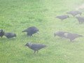IMG_3293.JPG