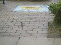 IMG_3295.JPG