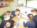 IMG_3381.JPG