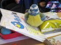 IMG_3385.JPG