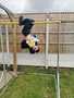 IMG-20200331-WA0025.jpg