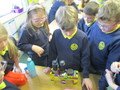 IMG_2949.JPG