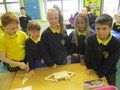 IMG_2954.JPG