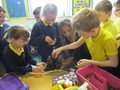 IMG_2963.JPG