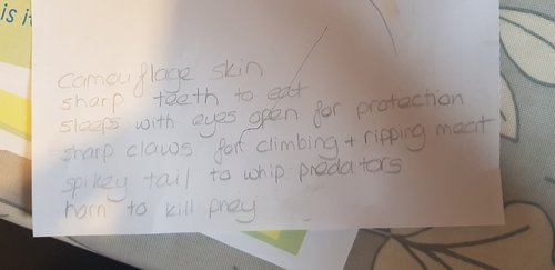 Tommy's Description.jpg