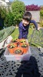 JL plants.jpg