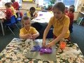 IMG_7362.JPG