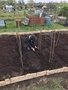 Planting Peas