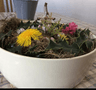 IMG_5751 (2).PNG