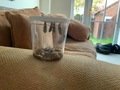 IMG_0653.JPEG