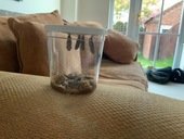 IMG_0653.JPEG
