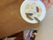IMG_0655.JPEG