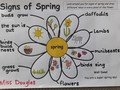 Miss D signs of spring.jpg