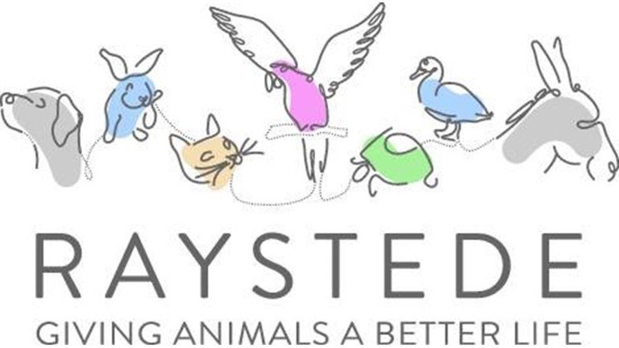 Click here for a link to interactive resources about caring for animals