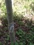 image[2].jpeg
