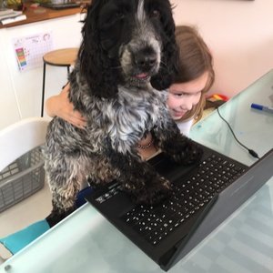 Clemmy Pet 2.JPG