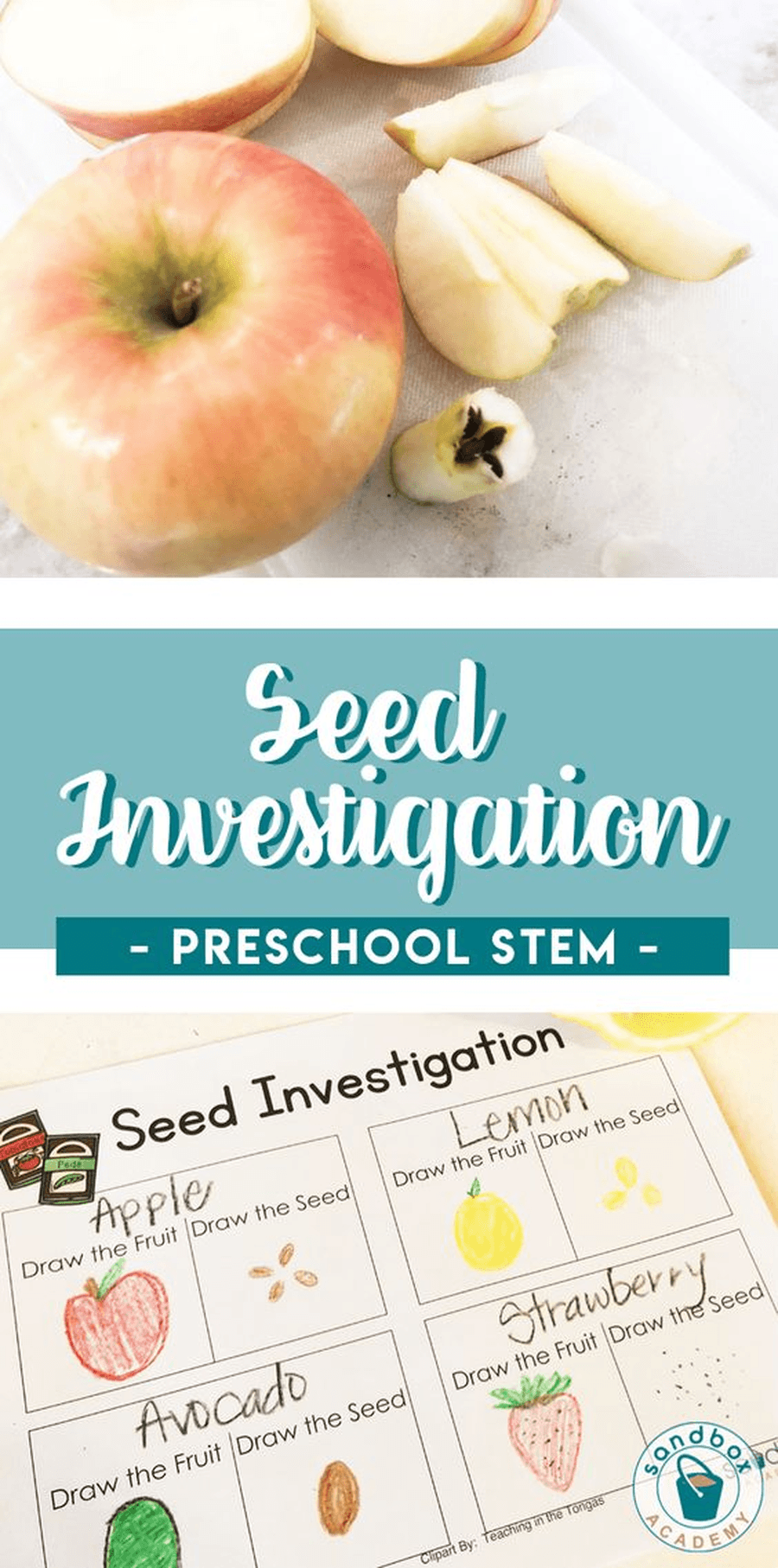 Look at some of the different fruits and vegetables in your house, Draw a picture of them and then look at the seeds inside. What do they look like? How many seeds does it have? 