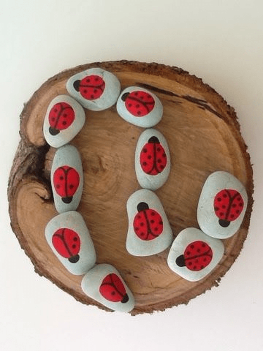 You could paint some ladybirds on some pebbles and hind them around your house and garden. How many spots did you add? How many ladybirds did you find?