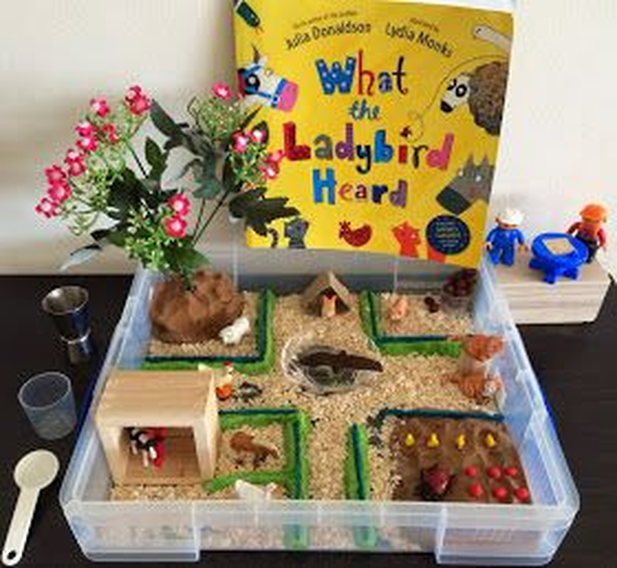 Make a home for your ladybird in an old box. What types of things would your ladybird like in their home?