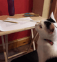 ​Spot the cat trying to do Jack's maths!.png