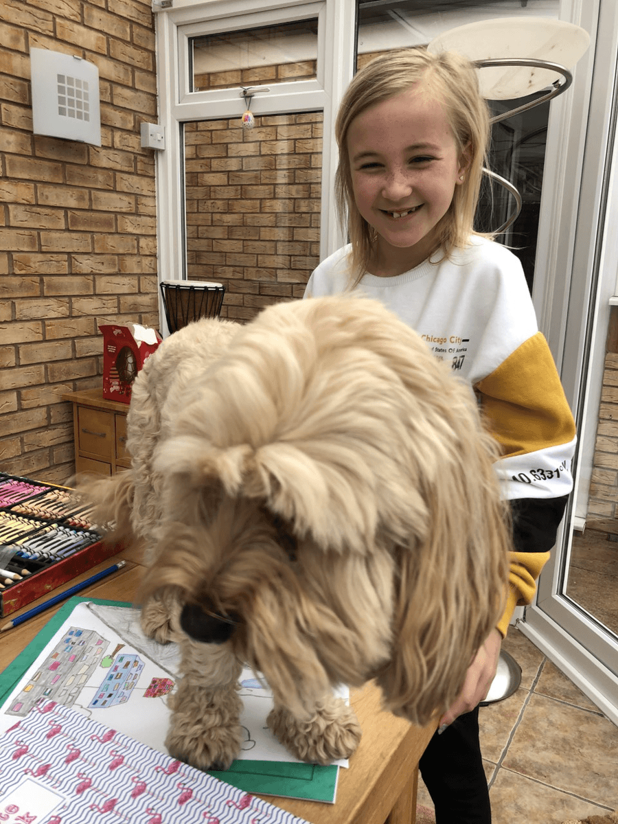 Darci Y5 art lesson joined by the dog
