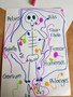 Fletcher's human skeleton