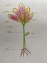 Eden's Plant diagram