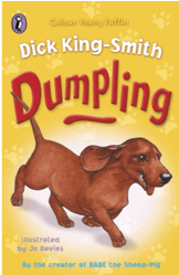 Dumpling