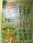 Design an allotment (23 Apr 2020 at 10_53).png